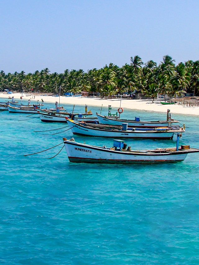 Scope of Travel and Tourism Jobs in India [2024]